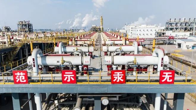 1010.jpg 2023年公眾關注的內蒙古十大科技進展相關圖片