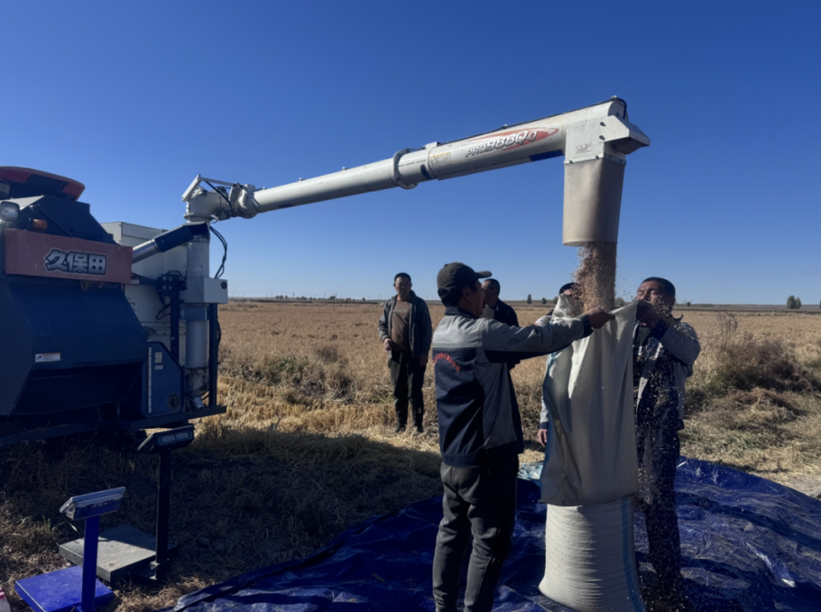 A14.png 中央一號文件里的內(nèi)蒙古實(shí)踐種業(yè)振興篇相關(guān)圖片