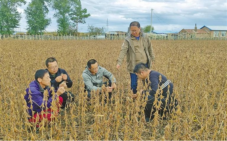 66.png 中央一號文件里的內(nèi)蒙古實(shí)踐種業(yè)振興篇相關(guān)圖片